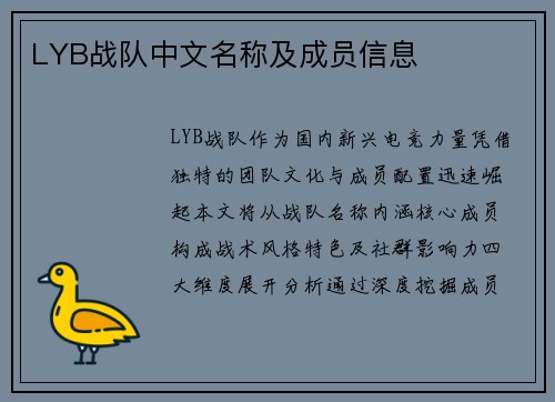 LYB战队中文名称及成员信息